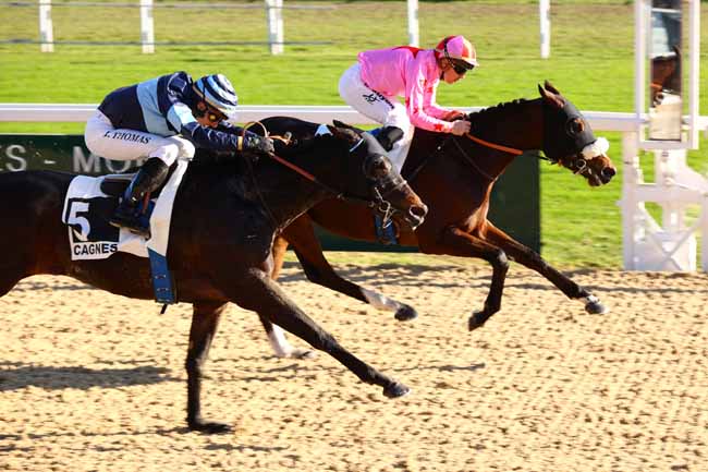 Arrivée quinté pmu PRIX DU LANGUEDOC à CAGNES-SUR-MER