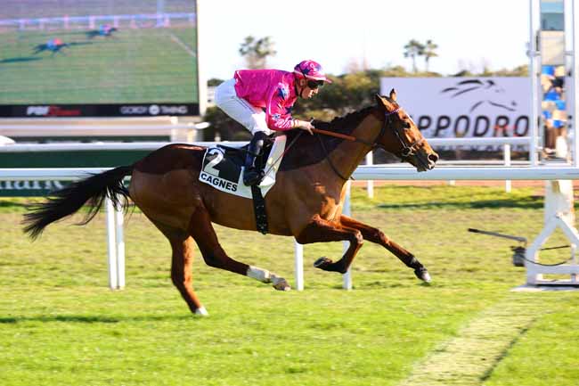 Photo d'arrivée de la course pmu PRIX ALBERT TATON à CAGNES-SUR-MER le Lundi 13 janvier 2025