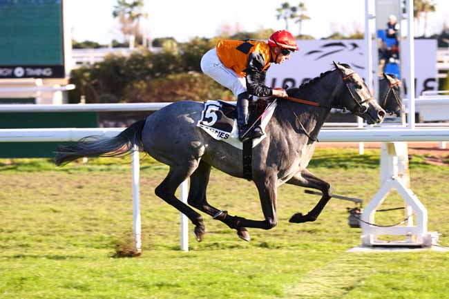 Photo d'arrivée de la course pmu PRIX DE FABRON à CAGNES-SUR-MER le Lundi 13 janvier 2025