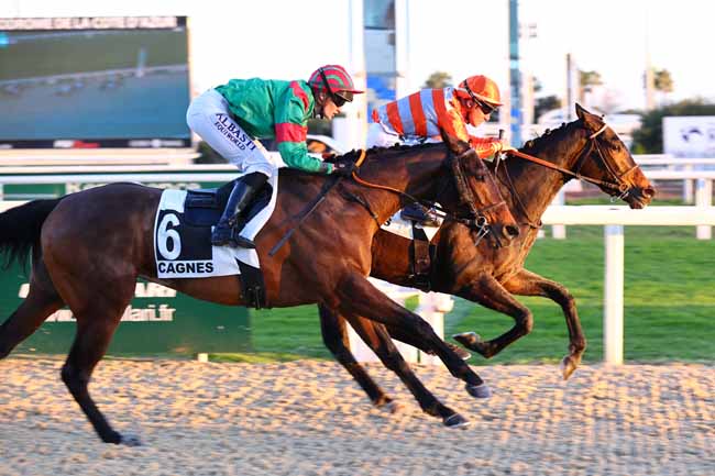 Photo d'arrivée de la course pmu PRIX DU ROUSSILLON à CAGNES-SUR-MER le Lundi 13 janvier 2025