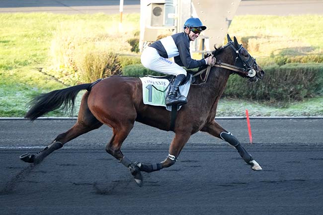 Photo d'arrivée de la course pmu PRIX DE BAYONNE à PARIS-VINCENNES le Mardi 14 janvier 2025