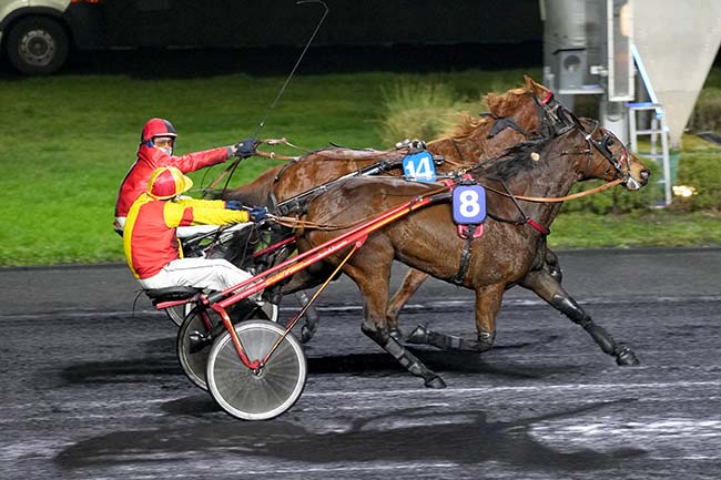 Photo d'arrivée de la course pmu PRIX DE SAINT-POL à PARIS-VINCENNES le Mercredi 15 janvier 2025