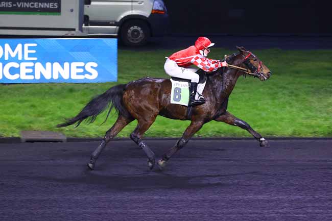 Photo d'arrivée de la course pmu PRIX DE LA FERTE-BERNARD à PARIS-VINCENNES le Jeudi 16 janvier 2025