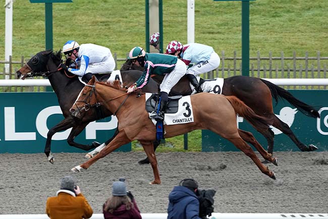 Photo d'arrivée de la course pmu PRIX DE LA ROUTE DES PINS à CHANTILLY le Jeudi 16 janvier 2025