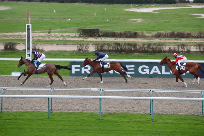 Photo d'arrivée de la course pmu PRIX DE LA PERDRIERE à DEAUVILLE le Vendredi 17 janvier 2025