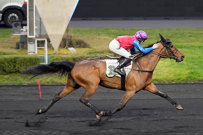 Photo d'arrivée de la course pmu PRIX CELINE LECLERCQ à PARIS-VINCENNES le Dimanche 19 janvier 2025