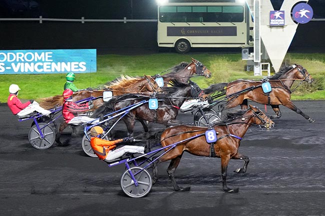 Photo d'arrivée de la course pmu PRIX DE MIRANDE à PARIS-VINCENNES le Dimanche 19 janvier 2025