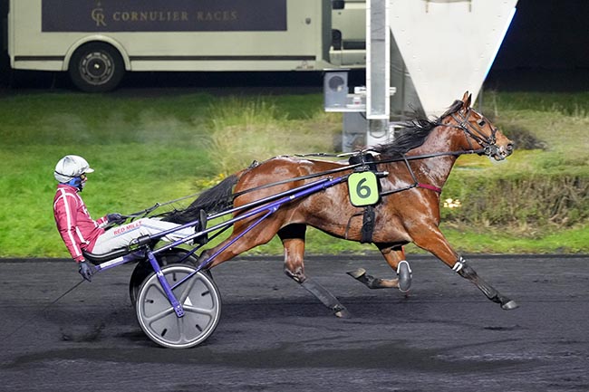 Photo d'arrivée de la course pmu PRIX DE LA BEAUCE à PARIS-VINCENNES le Dimanche 19 janvier 2025