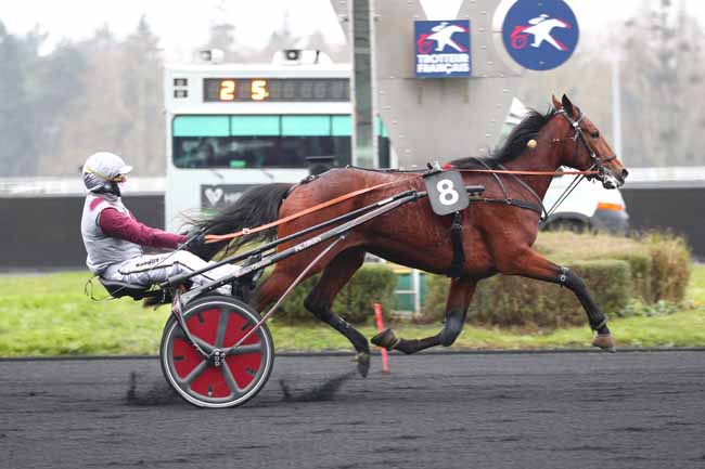 Photo d'arrivée de la course pmu PRIX NOVILLE à PARIS-VINCENNES le Lundi 20 janvier 2025
