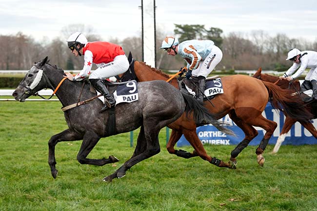 Arrivée quinté pmu PRIX ''EN ROUTE VERS L'AMERIQUE'' (PRIX RENE CRAMAIL) à PAU