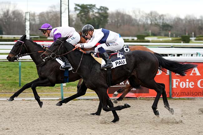 Photo d'arrivée de la course pmu PRIX SO HORSE ALLIANCES (PRIX DE SAINT-PALAIS) à PAU le Mardi 21 janvier 2025