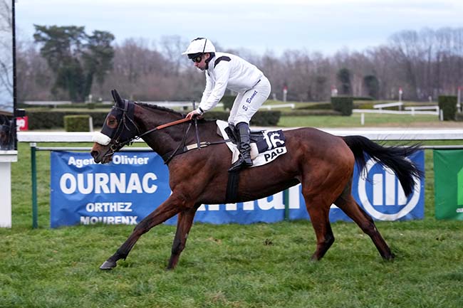 Photo d'arrivée de la course pmu PRIX WILLIAM KNAPP THORN à PAU le Mardi 21 janvier 2025