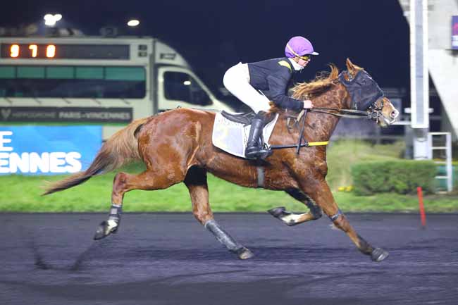 Photo d'arrivée de la course pmu PRIX DE PUY-GUILLAUME à PARIS-VINCENNES le Mardi 21 janvier 2025