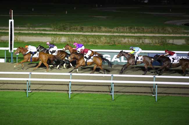 Photo d'arrivée de la course pmu PRIX DE L'AURE à DEAUVILLE le Jeudi 23 janvier 2025