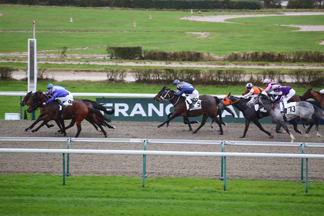 Photo d'arrivée de la course pmu PRIX DU VAUDREUIL à DEAUVILLE le Vendredi 24 janvier 2025