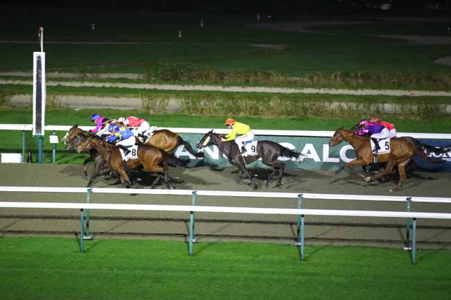 Photo d'arrivée de la course pmu PRIX DE PEGASUS BRIDGE à DEAUVILLE le Vendredi 24 janvier 2025