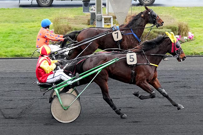 Photo d'arrivée de la course pmu COUPE INTERCONTINENTALE DES AMATEURS à PARIS-VINCENNES le Samedi 25 janvier 2025