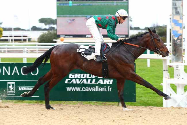 Photo d'arrivée de la course pmu PRIX BONNARD à CAGNES-SUR-MER le Lundi 27 janvier 2025