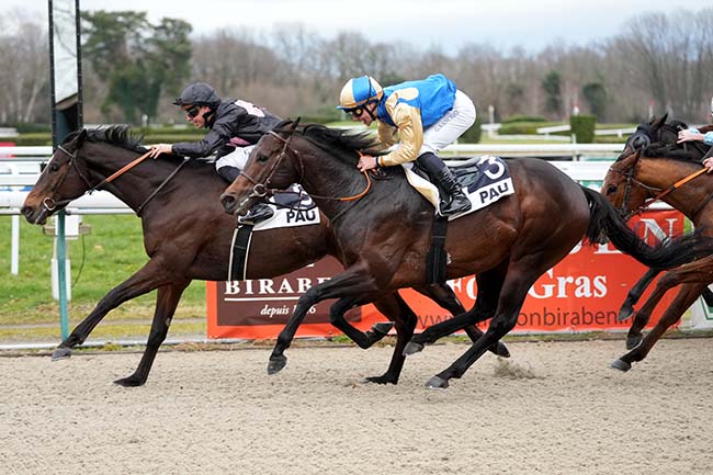Photo d'arrivée de la course pmu PRIX PMU TRESORS DU BANC D'ARGUIN - MOLIETS ET MAA (PRIX D'ARAUJUZON) à PAU le Mercredi 29 janvier 2025