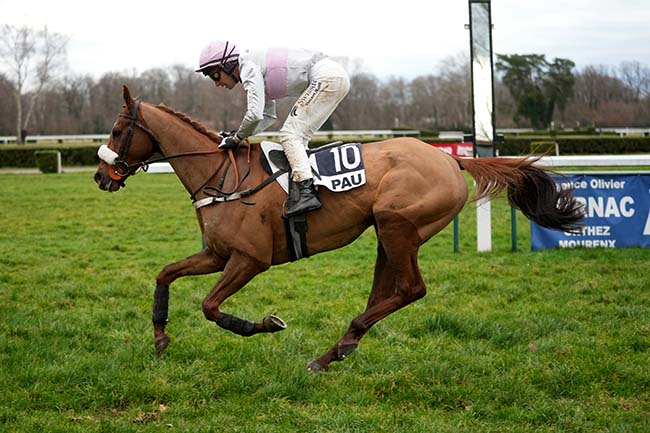 Photo d'arrivée de la course pmu PRIX TEKIDE (PRIX CHARLES DE VANSSAY) à PAU le Mercredi 29 janvier 2025