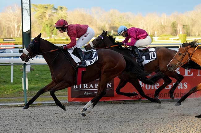 Photo d'arrivée de la course pmu PRIX DE LASCLAVERIES à PAU le Mercredi 29 janvier 2025