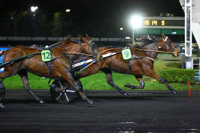 Arrivée quinté pmu PRIX ANDRE LOUIS DREUX à PARIS-VINCENNES