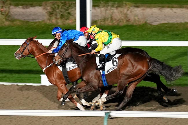 Photo d'arrivée de la course pmu PRIX CARO à DEAUVILLE le Vendredi 31 janvier 2025