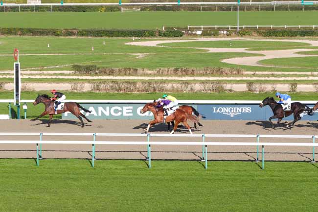 Photo d'arrivée de la course pmu PRIX DE RABODANGES à DEAUVILLE le Samedi 1 février 2025