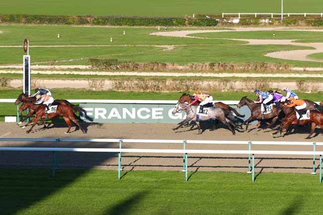 Photo d'arrivée de la course pmu PRIX DU CENTRE CALAMEL à DEAUVILLE le Samedi 1 février 2025