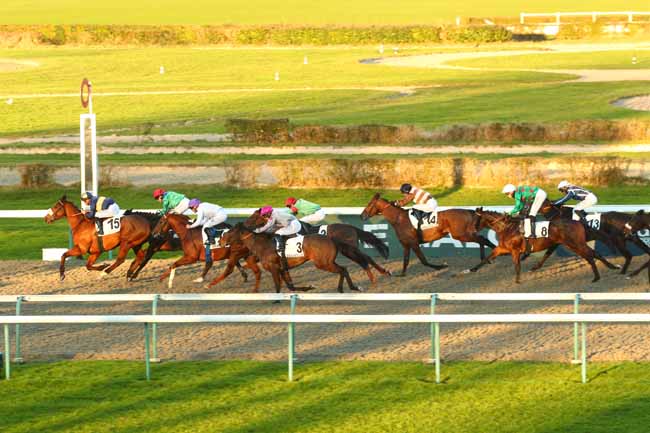 Photo d'arrivée de la course pmu PRIX DU FUNICULAIRE à DEAUVILLE le Samedi 1 février 2025