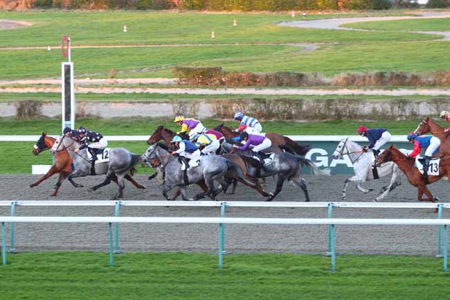Photo d'arrivée de la course pmu PRIX DE LA VEULES à DEAUVILLE le Samedi 1 février 2025