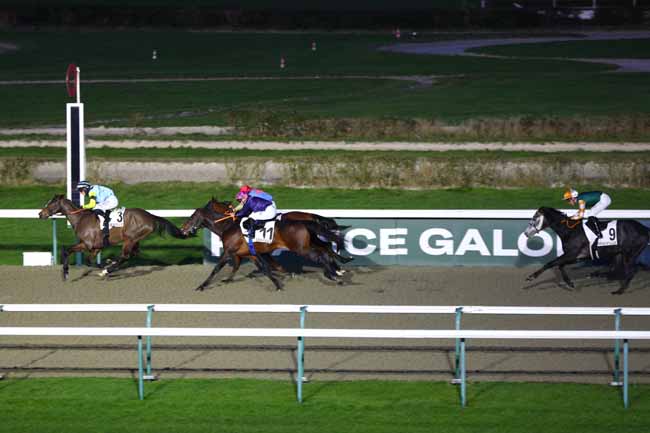 Photo d'arrivée de la course pmu PRIX DE VEULES-LES-ROSES à DEAUVILLE le Samedi 1 février 2025