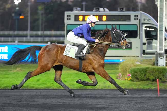 Photo d'arrivée de la course pmu PRIX DE DOZULE à PARIS-VINCENNES le Samedi 1 février 2025