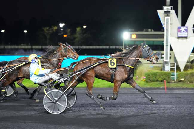Photo d'arrivée de la course pmu PRIX DE COULOMMIERS à PARIS-VINCENNES le Samedi 1 février 2025