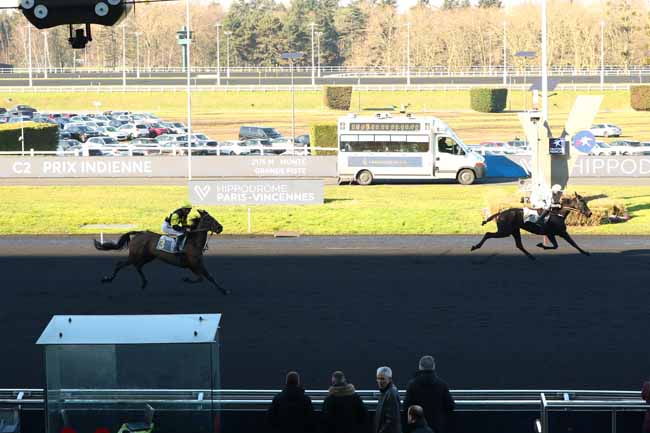 Photo d'arrivée de la course pmu PRIX INDIENNE à PARIS-VINCENNES le Dimanche 2 février 2025