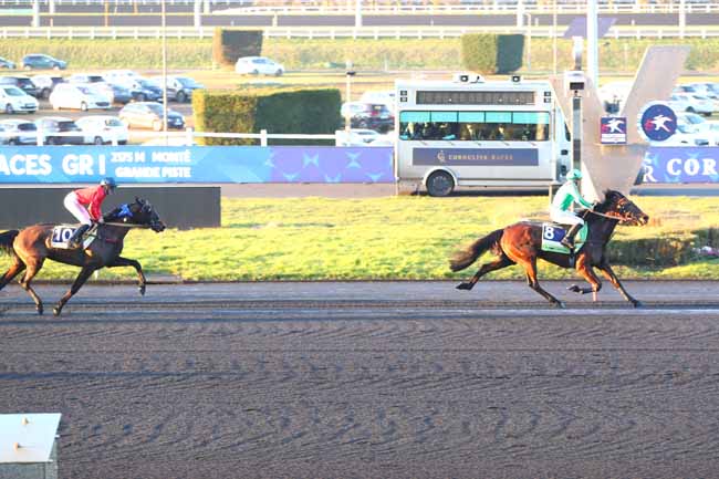 Photo d'arrivée de la course pmu PRIX DE L'ILE-DE-FRANCE - CORNULIER RACES à PARIS-VINCENNES le Dimanche 2 février 2025