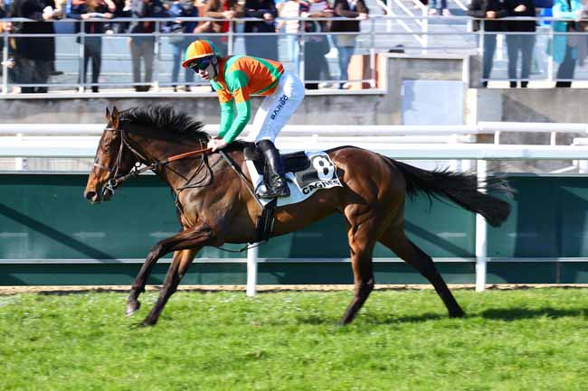 Photo d'arrivée de la course pmu PRIX DE PUYRICARD à CAGNES-SUR-MER le Lundi 3 février 2025