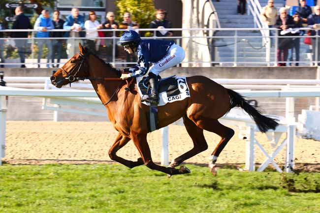 Photo d'arrivée de la course pmu PRIX DE FUVEAU à CAGNES-SUR-MER le Lundi 3 février 2025