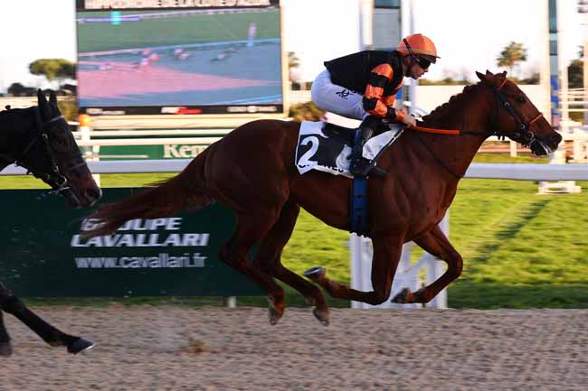 Photo d'arrivée de la course pmu PRIX DES CHEVREFEUILLES à CAGNES-SUR-MER le Lundi 3 février 2025