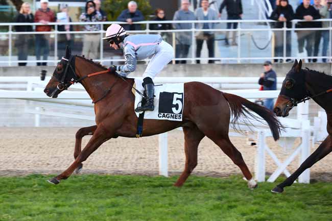 Photo d'arrivée de la course pmu PRIX DE VENCE à CAGNES-SUR-MER le Lundi 3 février 2025