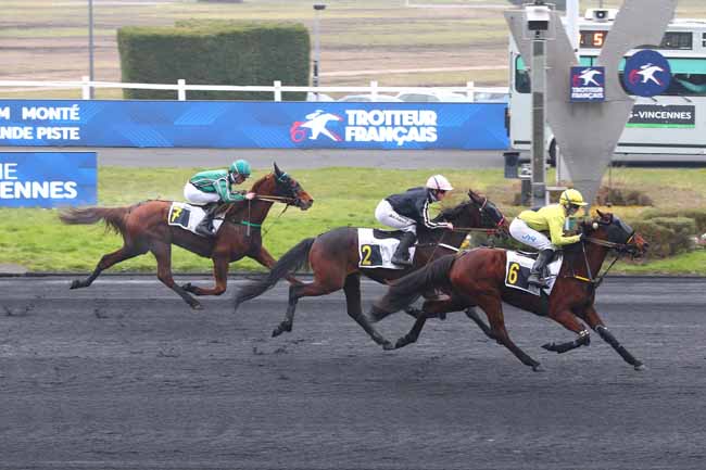 Photo d'arrivée de la course pmu PRIX DE L'ILLE-ET-VILAINE à PARIS-VINCENNES le Mardi 4 février 2025