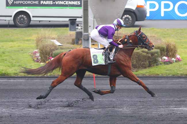 Photo d'arrivée de la course pmu PRIX DE COLMAR à PARIS-VINCENNES le Mardi 4 février 2025