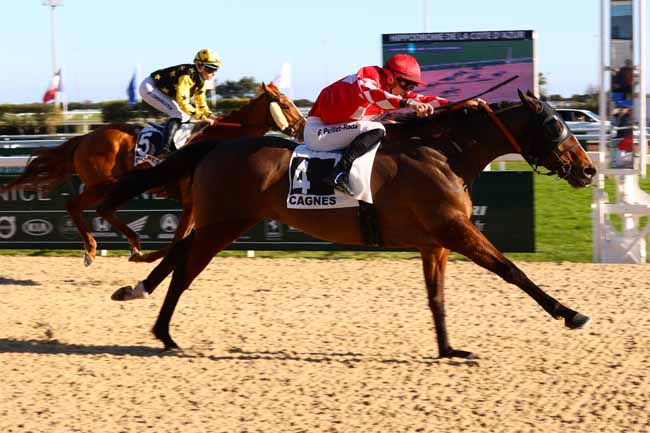 Photo d'arrivée de la course pmu GRAND PRIX DES JEUNES JOCKEYS ET APPRENTIS à CAGNES-SUR-MER le Mercredi 5 février 2025