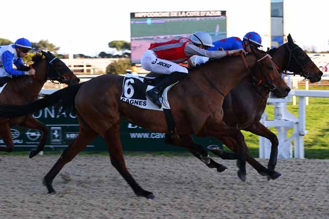 Photo d'arrivée de la course pmu PRIX DU PLATEAU DE CAUSSOLS à CAGNES-SUR-MER le Mercredi 5 février 2025