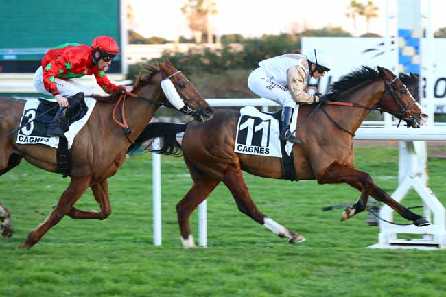 Photo d'arrivée de la course pmu PRIX DU VAUCLUSE à CAGNES-SUR-MER le Mercredi 5 février 2025