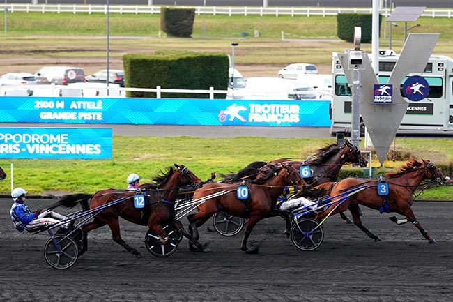 Photo d'arrivée de la course pmu PRIX EPHREM HOUEL à PARIS-VINCENNES le Samedi 8 février 2025