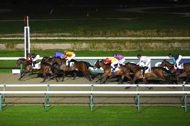 Photo d'arrivée de la course pmu PRIX D'AREGENUA à DEAUVILLE le Samedi 8 février 2025