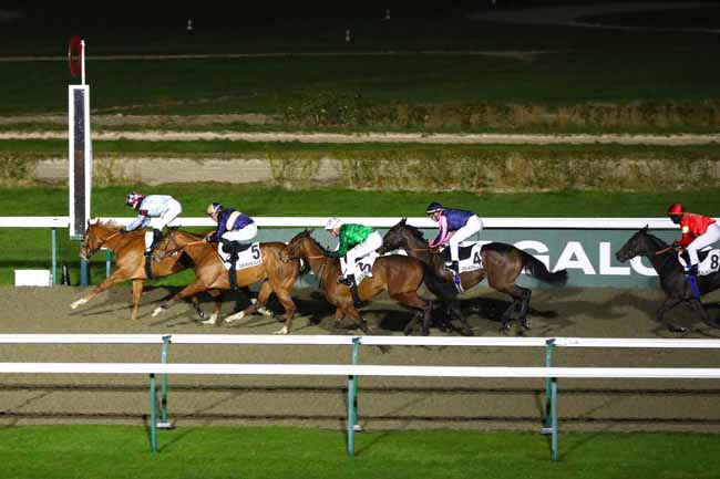 Photo d'arrivée de la course pmu PRIX DE VIEUX-LA-ROMAINE à DEAUVILLE le Samedi 8 février 2025