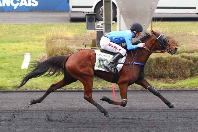 Photo d'arrivée de la course pmu PRIX LOUIS LE BOURG à PARIS-VINCENNES le Dimanche 9 février 2025