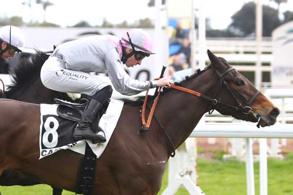 Photo d'arrivée de la course pmu PRIX PECKINPAH'S SOUL à CAGNES-SUR-MER le Lundi 10 février 2025